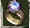 wpe4D.jpg (924 Byte)